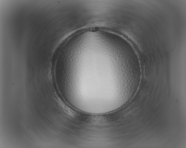 X0000073841452200608241004