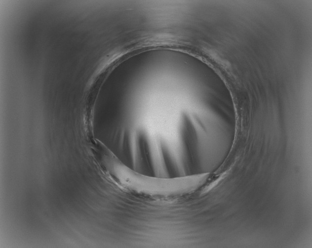 X0000073841453200608241004