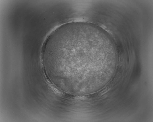 X0000073841454200608241004