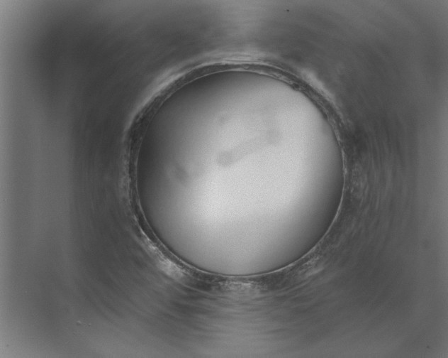 X0000073841456200608241004