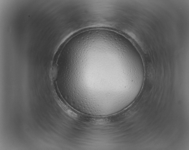 X0000073841460200608241004