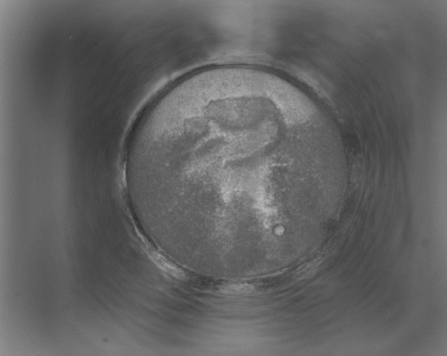 X0000073841462200608241004