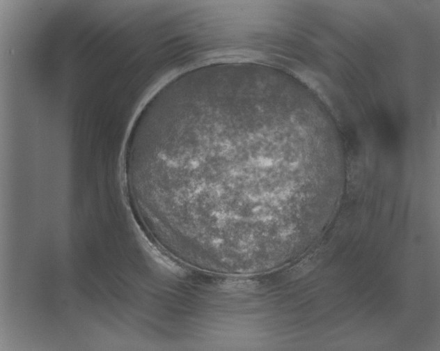 X0000073841466200608241004