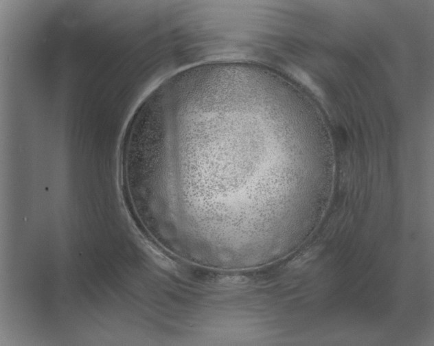 X0000073841467200608241004