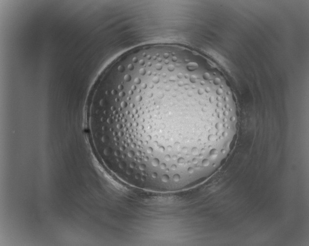 X0000073841468200608241004