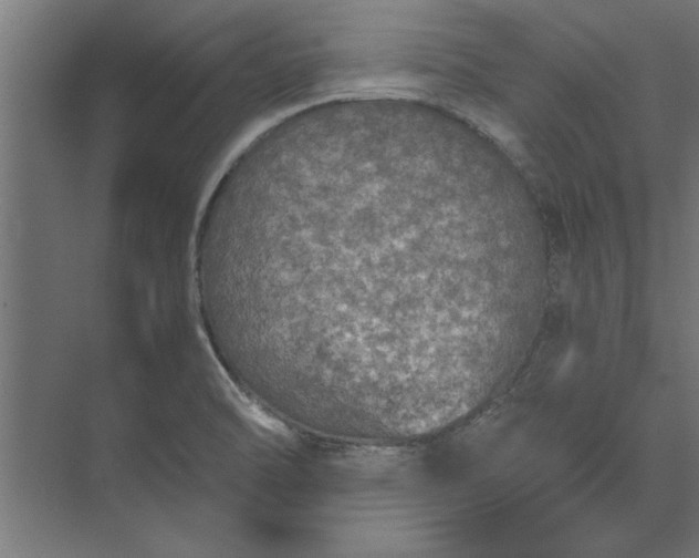 X0000073841470200608241004