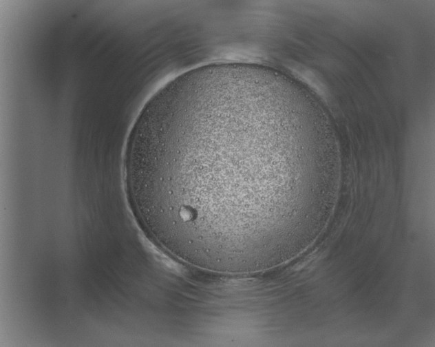 X0000073841471200608241004