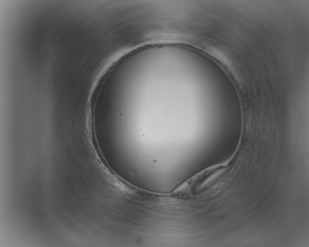 X0000073841472200608241004