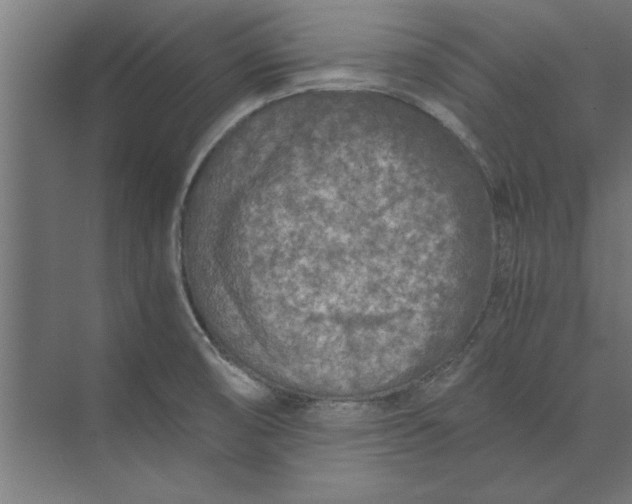 X0000073841474200608241004