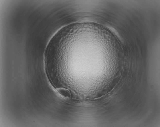 X0000073841476200608241004