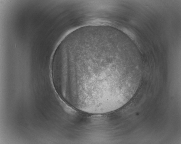 X0000073841478200608241004