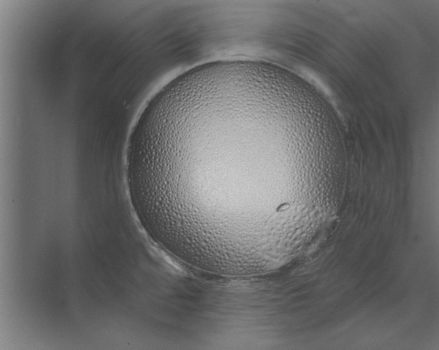 X0000073841480200608241004