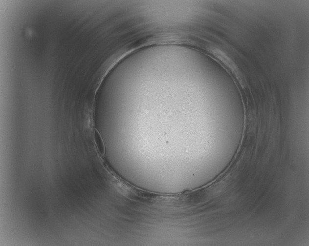 X0000073841481200608241004