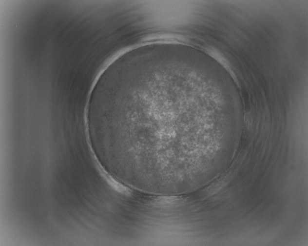 X0000073841482200608241004