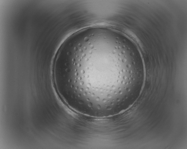 X0000073841483200608241004