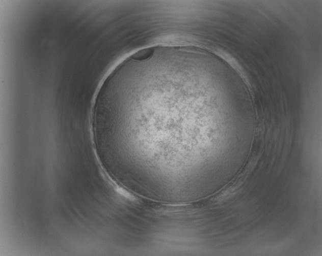 X0000073841486200608241004