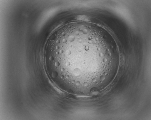 X0000073841487200608241004