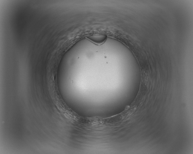 X0000073841489200608241003