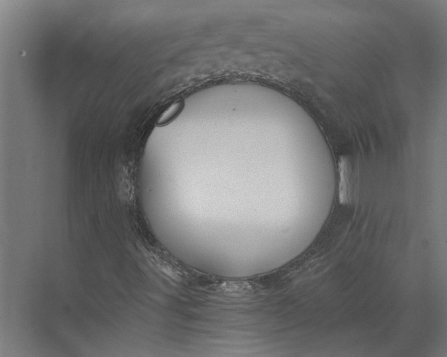 X0000073841491200608241003