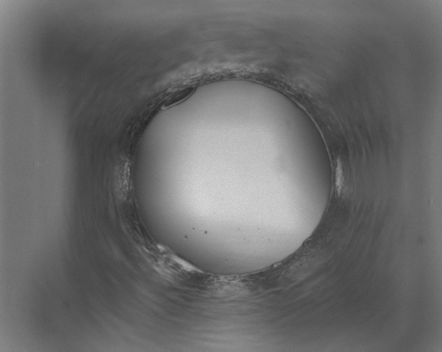 X0000073841492200608241003