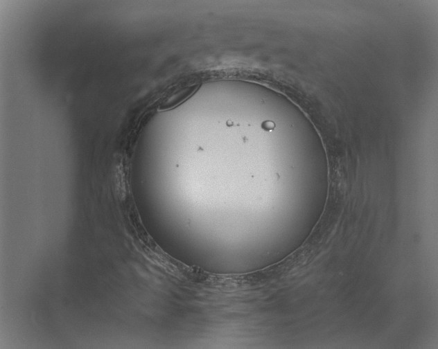 X0000073841493200608241003