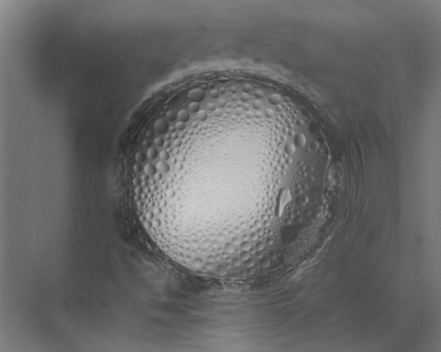 X0000073841494200608241003