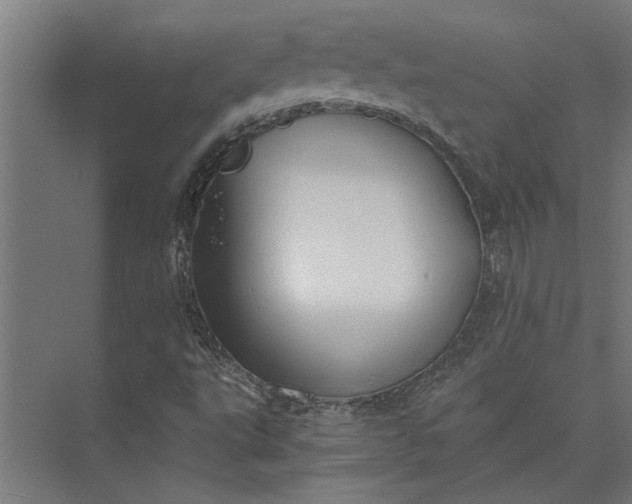 X0000073841495200608241003