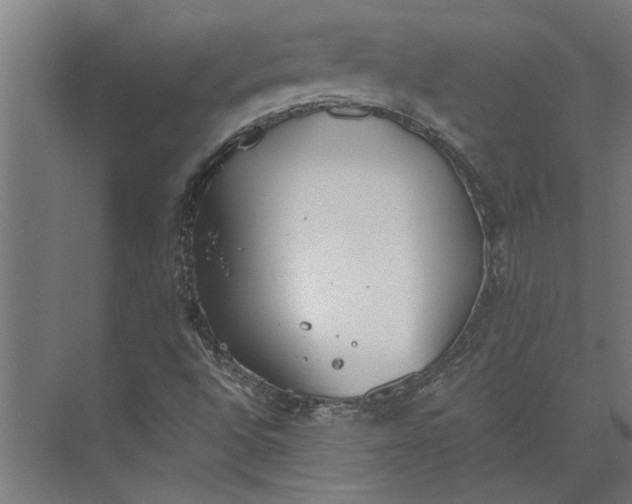 X0000073841496200608241003