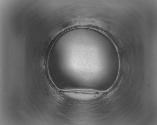 X0000073841497200608241003