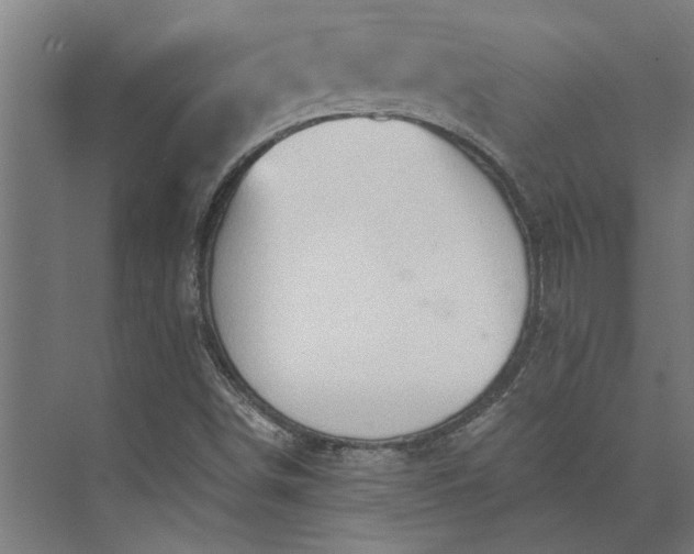 X0000073841498200608241003