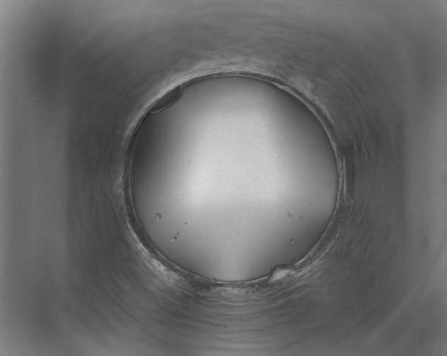 X0000073841500200608241003