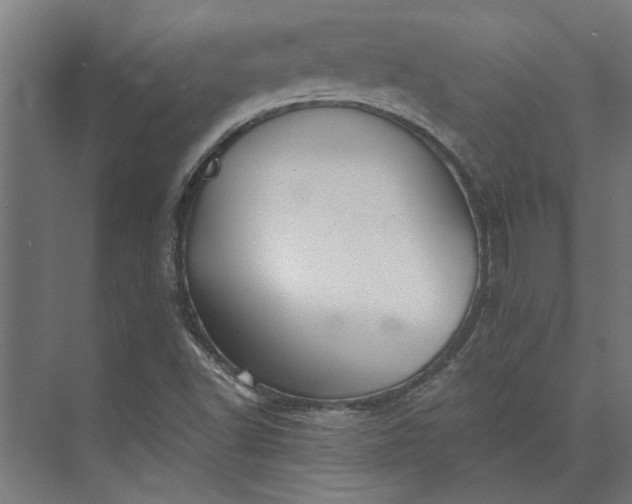 X0000073841502200608241003