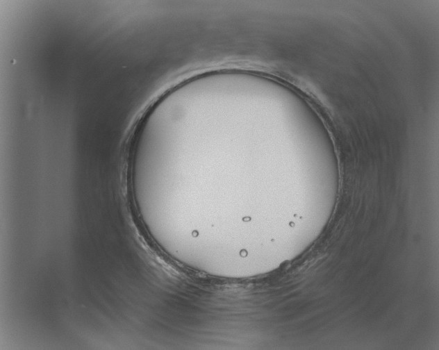 X0000073841504200608241003