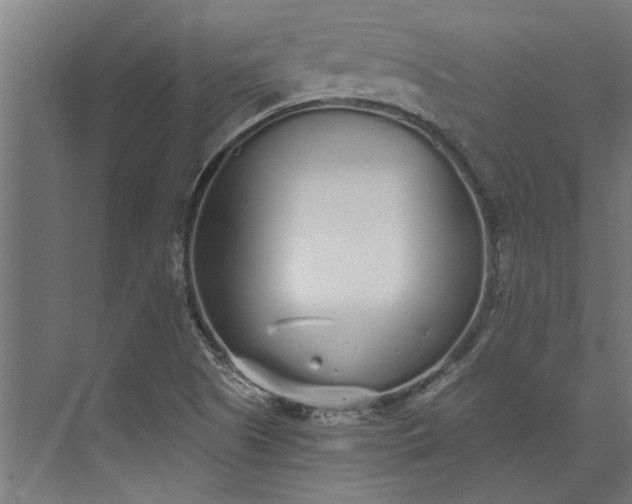 X0000073841505200608241003