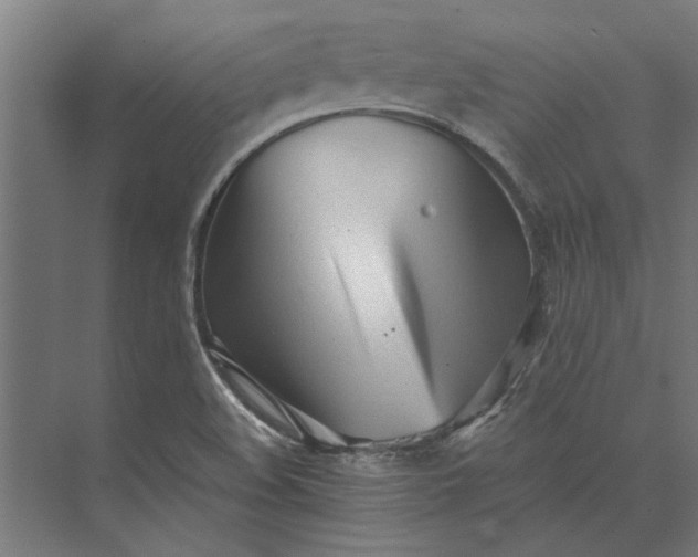 X0000073841508200608241003