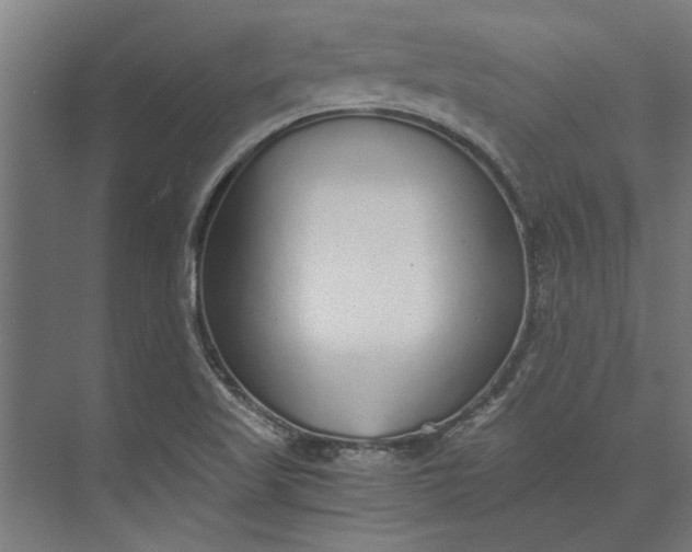 X0000073841509200608241003