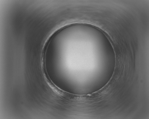 X0000073841511200608241003