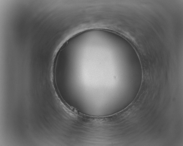 X0000073841512200608241003