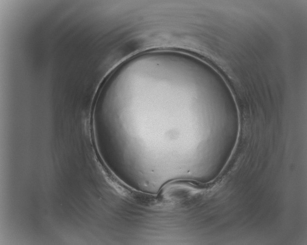 X0000073841513200608241003