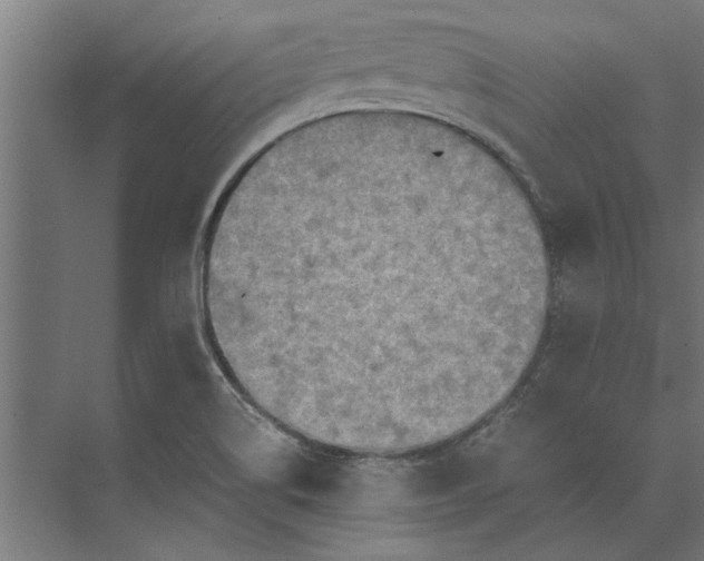 X0000073841514200608241003