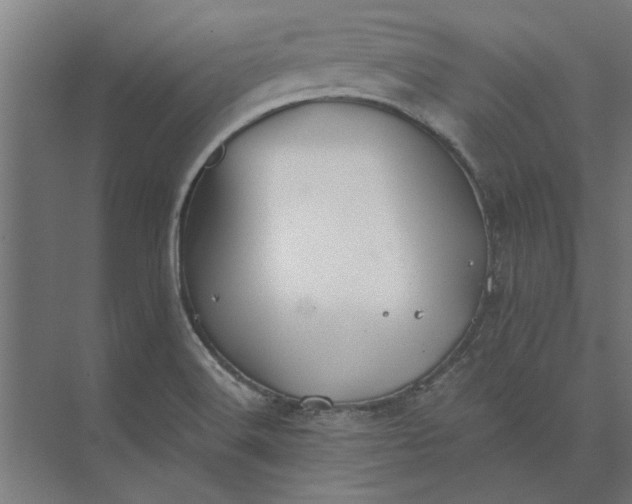 X0000073841516200608241003