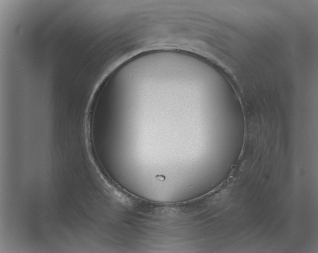 X0000073841517200608241003