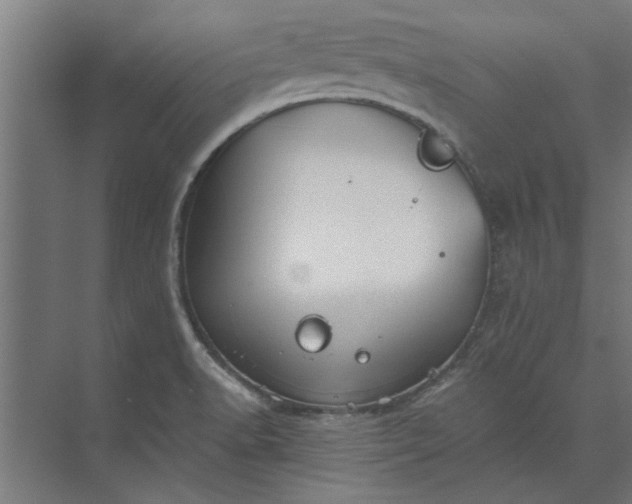 X0000073841518200608241003