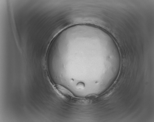 X0000073841521200608241003