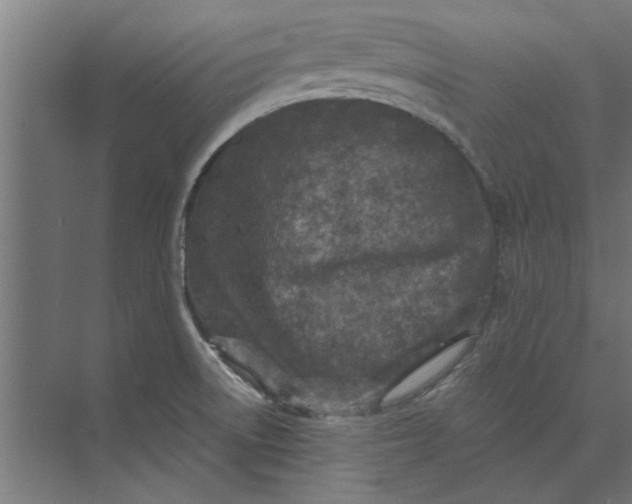 X0000073841522200608241003