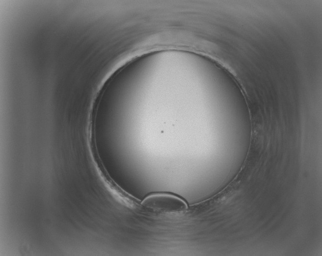 X0000073841523200608241003