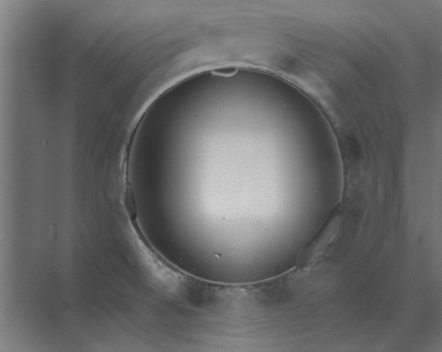 X0000073841524200608241003