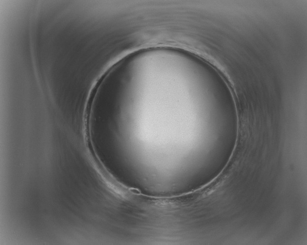 X0000073841525200608241003