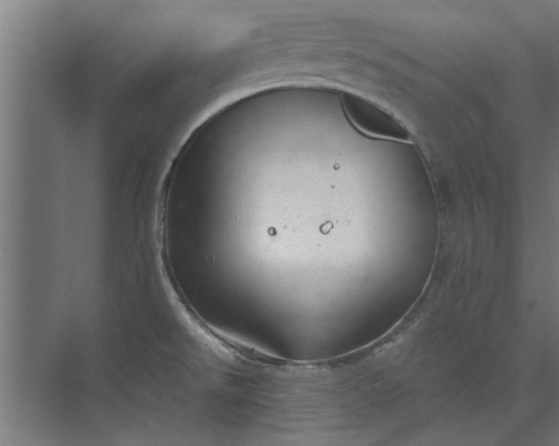 X0000073841526200608241003