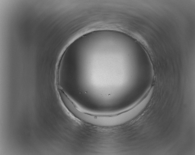 X0000073841528200608241003